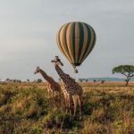 Serengeti-park-tanzania
