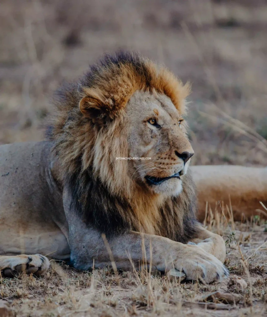 5-Day Budget Group Joining Safari –Tarangire, Serengeti, Ngorongoro Crater &Lake Manyara